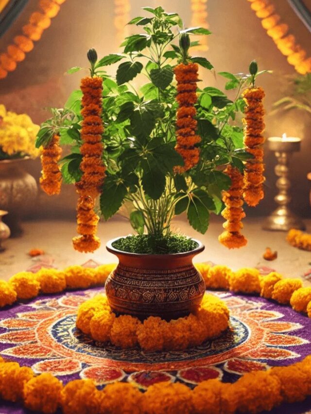 Tulsi Vivah 2024: Auspicious Timings and Worship Rituals