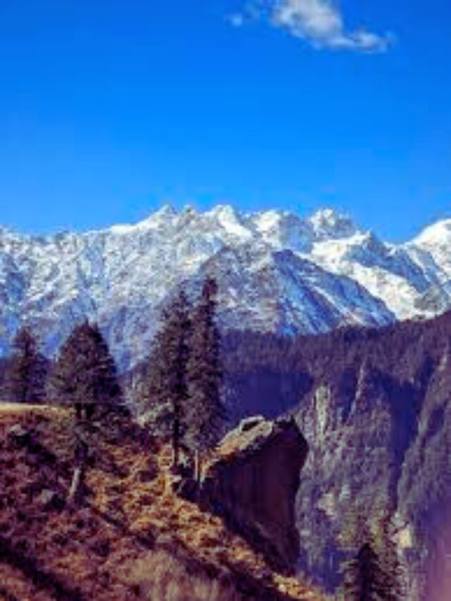 manali canva