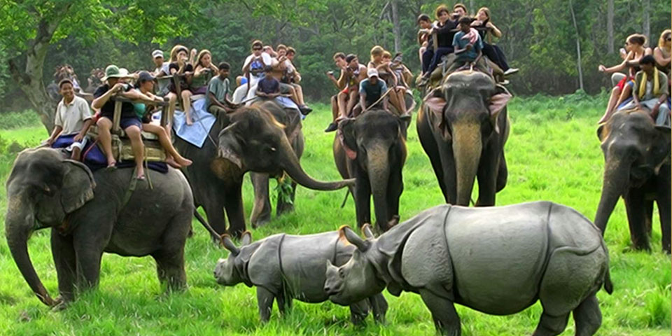 kaziranga-national-park