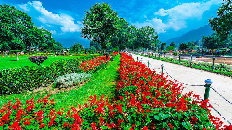 beautiful-gardens-kashmir