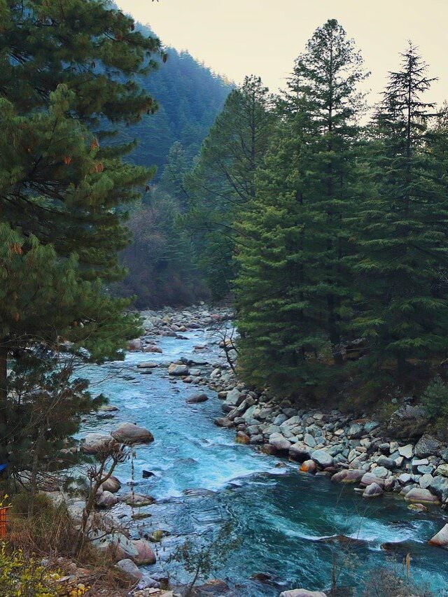 cropped-kasol-5771621.jpg