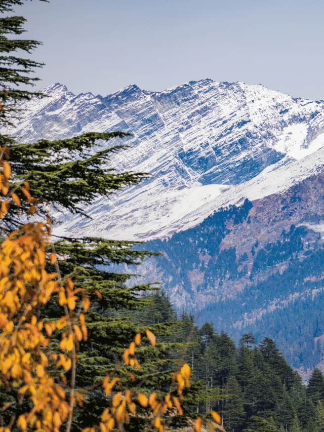 hill station in uttarakhand (5) (1)